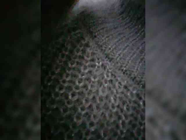 Cassssablanca webcam