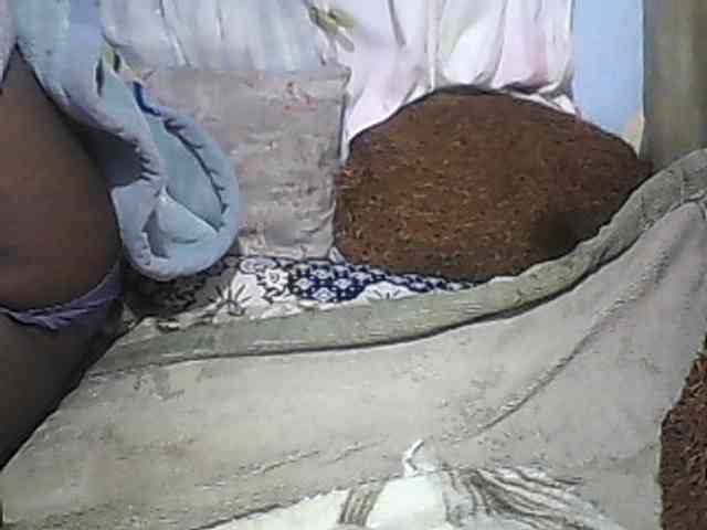 Модель: pussyblacky