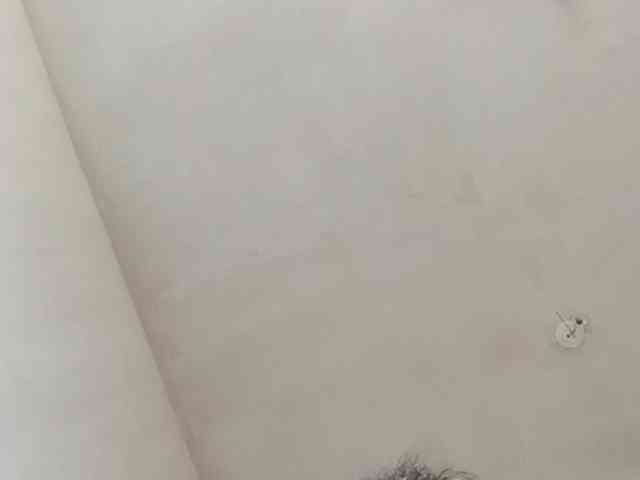 xxxtop878