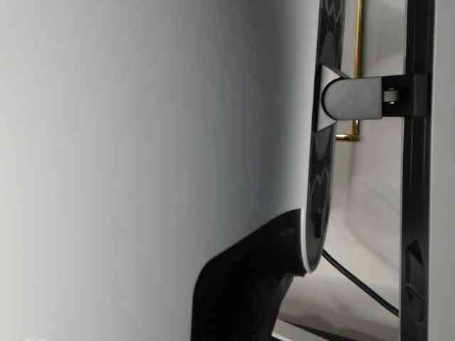 linawhite2 webcam