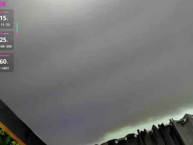 Issa20 webcam