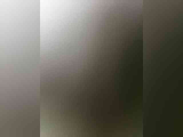 LiiBaby webcam