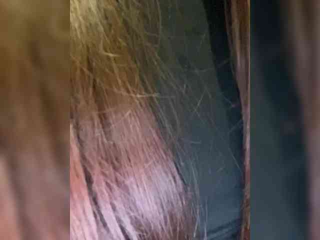 AHAHAC_HAXPEH_B_yHuTa3's Sexcam