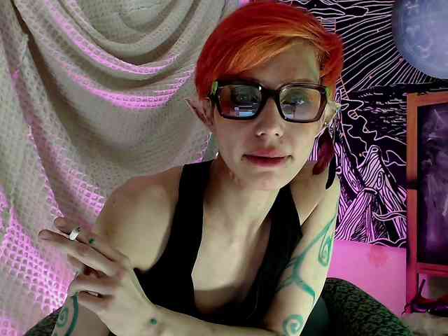 Pomotrosil_i_brosiL webcam