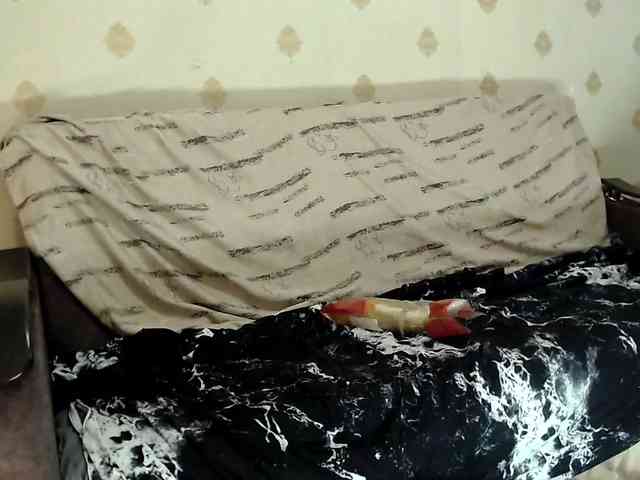 Yrriel_Autist webcam