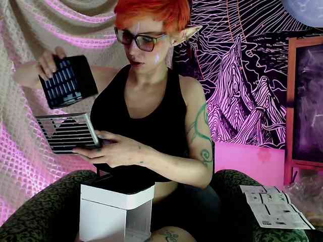 Pomotrosil_i_brosiL webcam