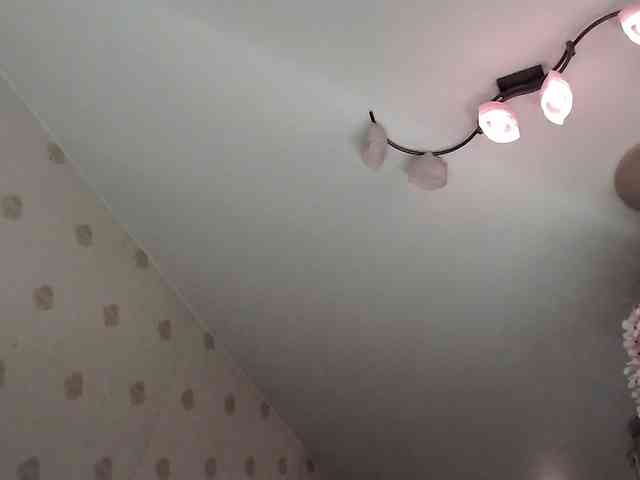 Yrriel_Autist webcam