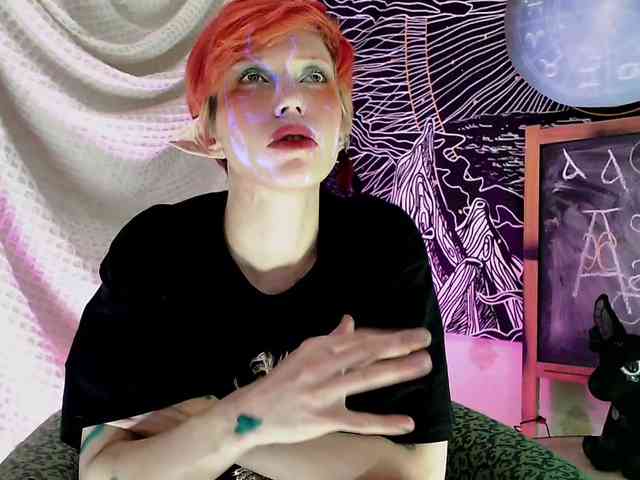 Pomotrosil_i_brosiL webcam