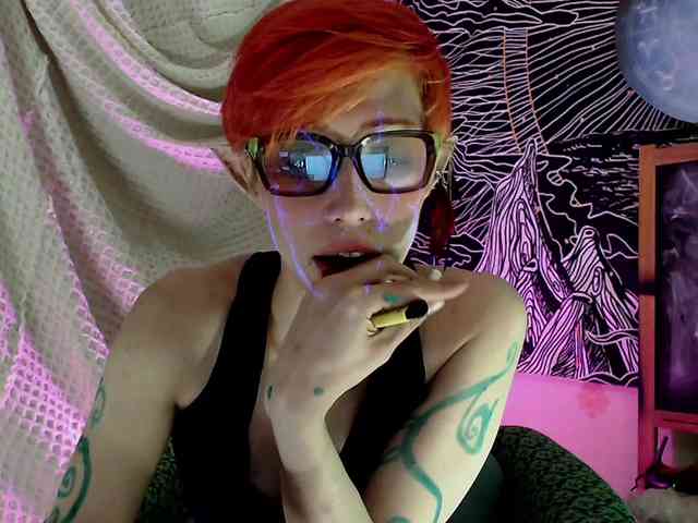 Pomotrosil_i_brosiL webcam