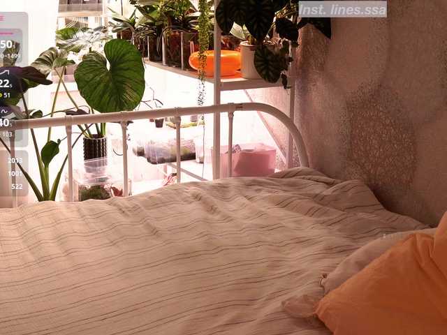 Arisha-w's BongaCams profile