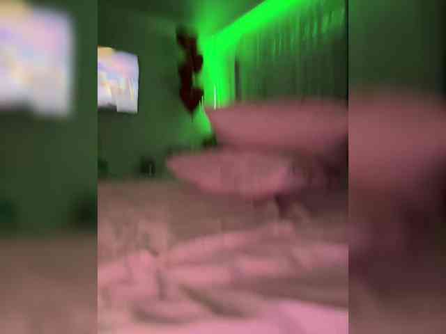 _Funny_Bunny_ webcam