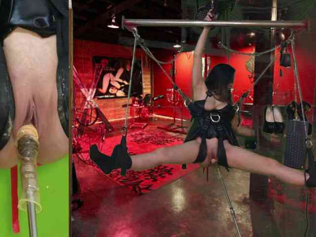 angelinasia angelinasia