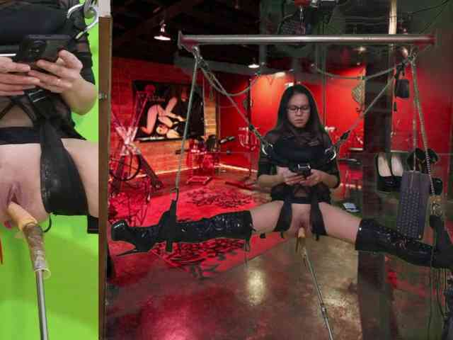 angelinasia angelinasia