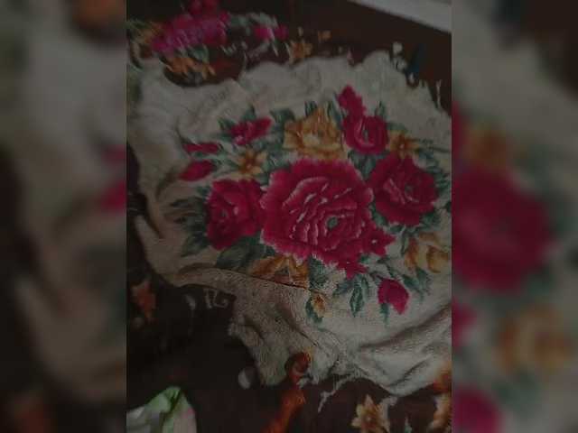 the best of Andrei2409199