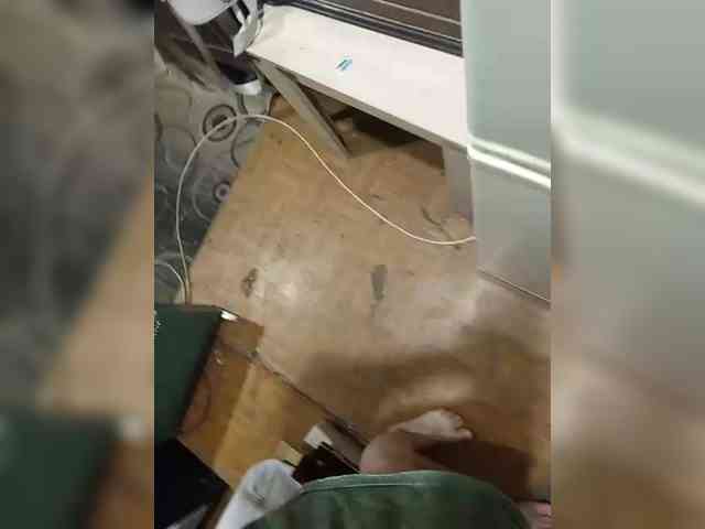 Andrei2409199 webcam