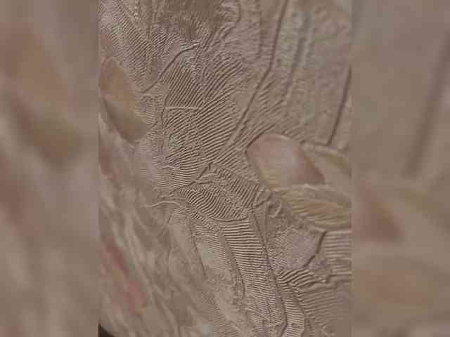 ALENATRANS1 Live Webcam on BongaCams