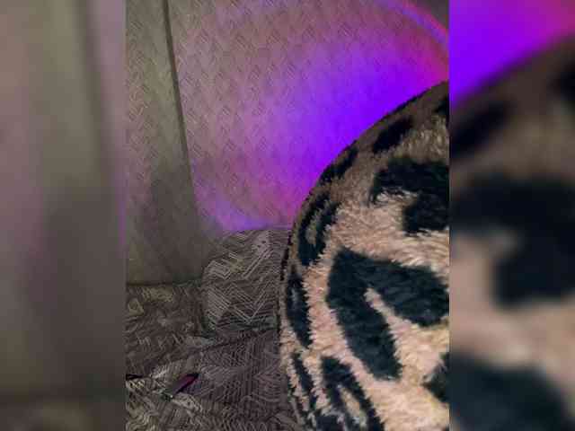 suchka-black- webcam