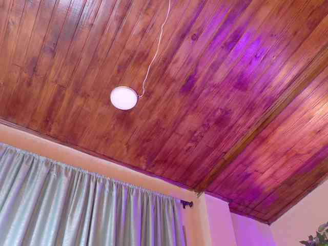 chloe-rosse chloe-rosse