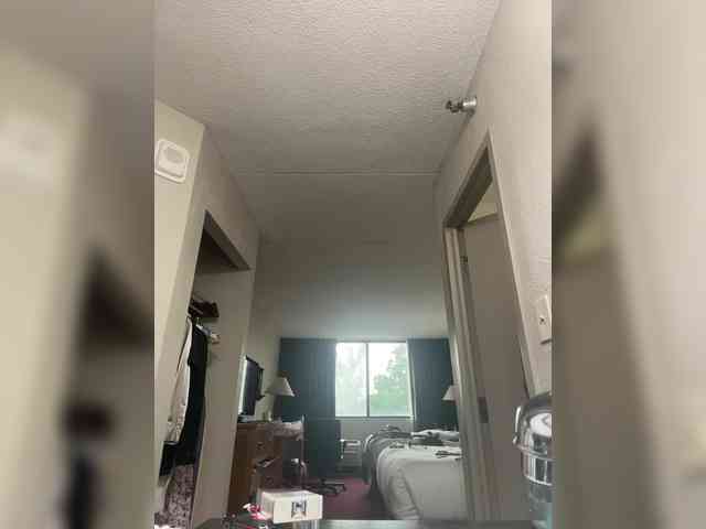 Honeycunt webcam