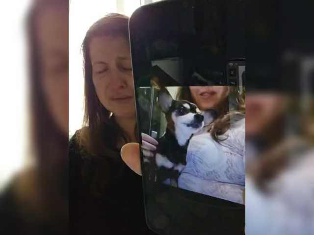 nimfastar77's BongaCams show and profile