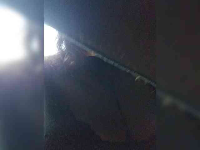 nimfastar77 webcam