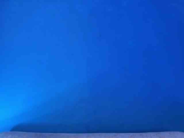 BellaMarieX webcam