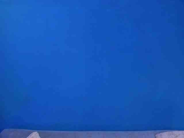 BellaMarieX BellaMarieX