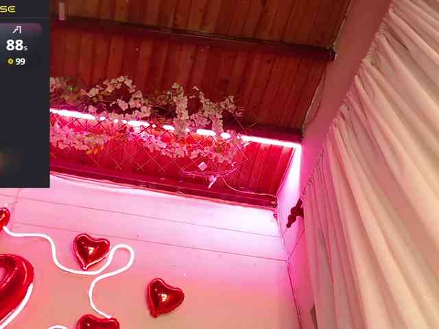 Aleja_Fox webcam