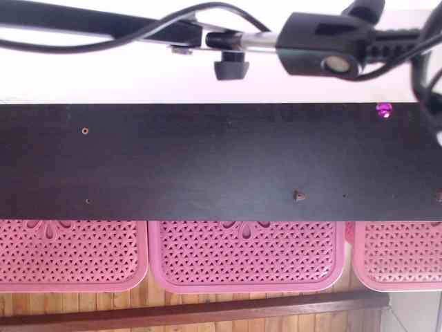 Aleja_Fox webcam