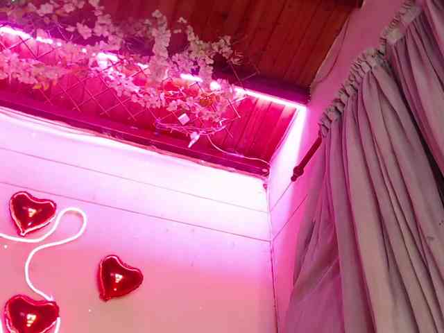 Aleja_Fox webcam