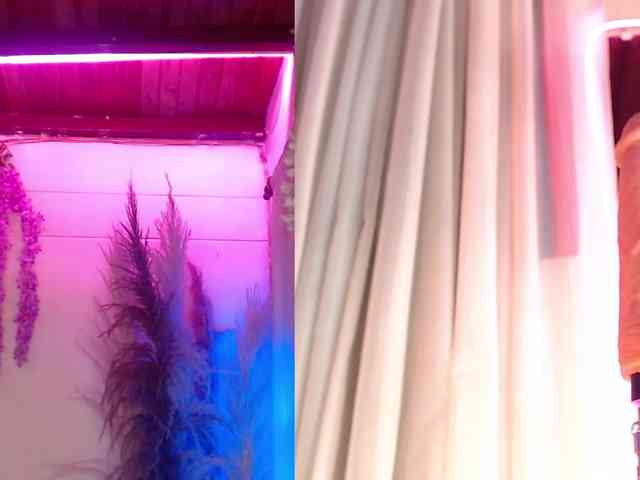 Aleja_Fox webcam