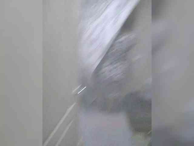 Wertuals1 webcam