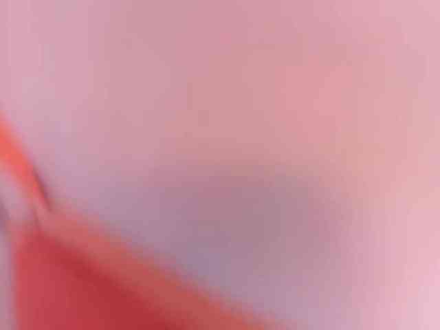 kisskissssss webcam