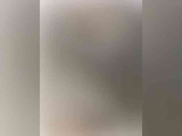 -Bunya-