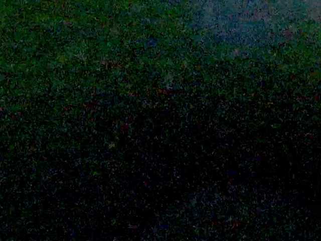 Preview of nidhilove