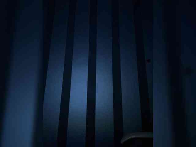 -ANGELIKA7741 webcam