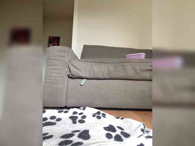 MilaLav webcam