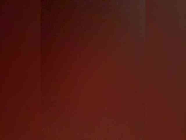 MilaLav webcam