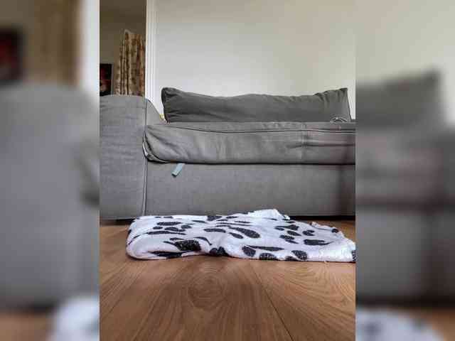 MilaLav webcam