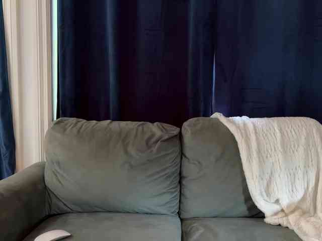 2CP webcam