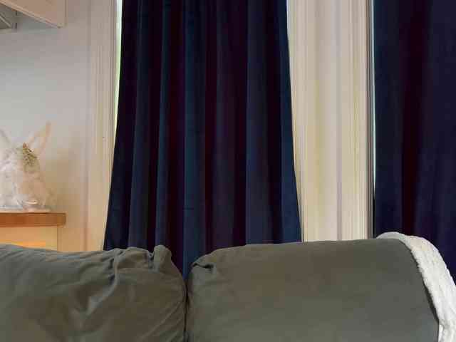 2CP webcam