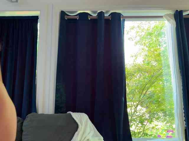 2CP webcam