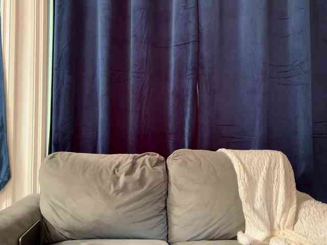 2CP webcam