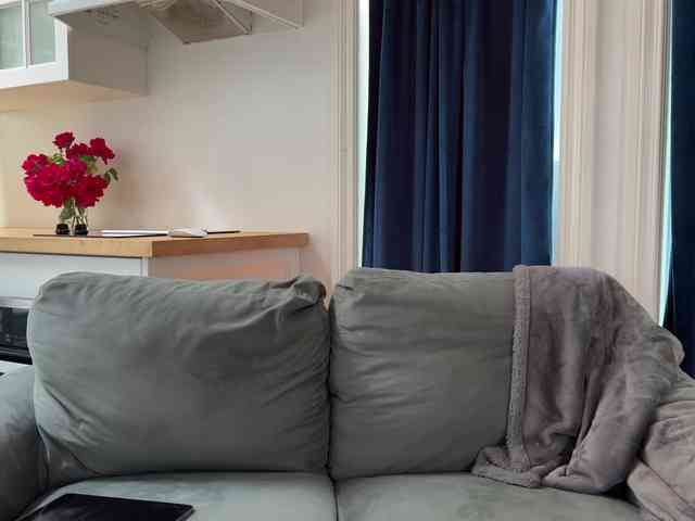 2CP webcam