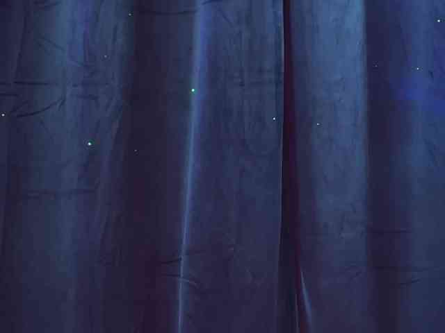 2CP webcam
