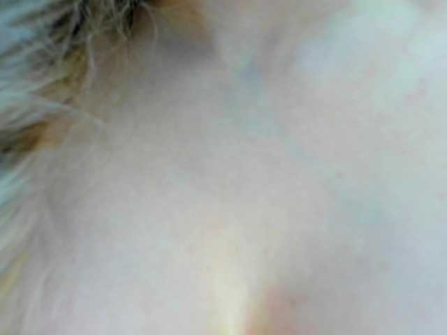 ElissaVibe from BongaCams is Freechat