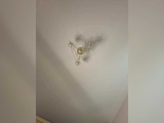 avolood's BongaCams profile