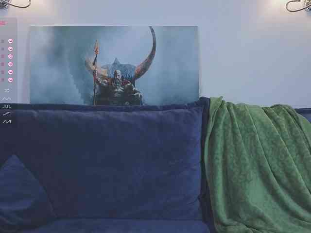 avolood webcam