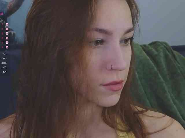 avolood webcam