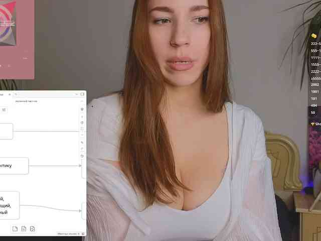 avolood webcam